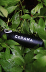 Travel Flask