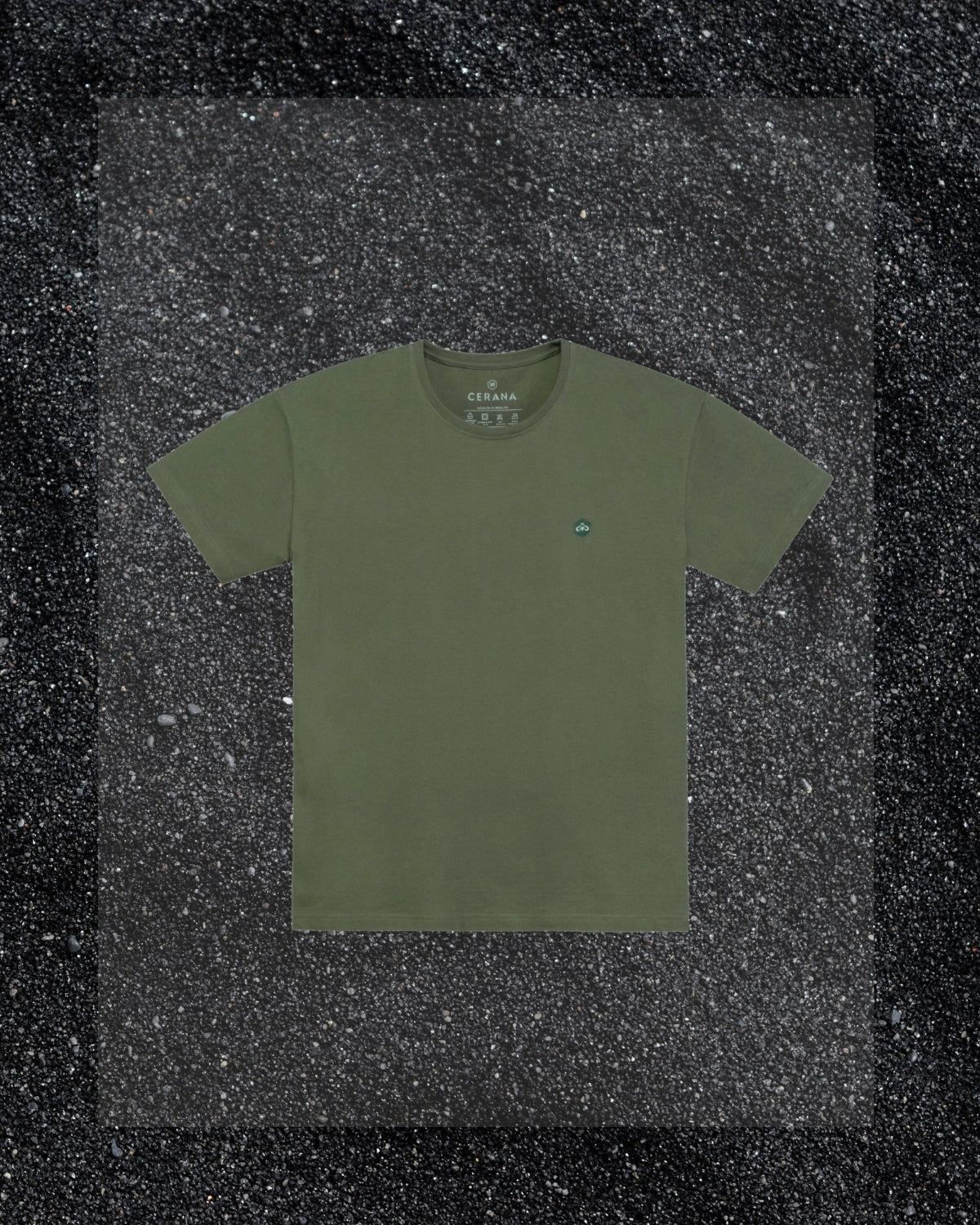 Regular Fit Spine Tee