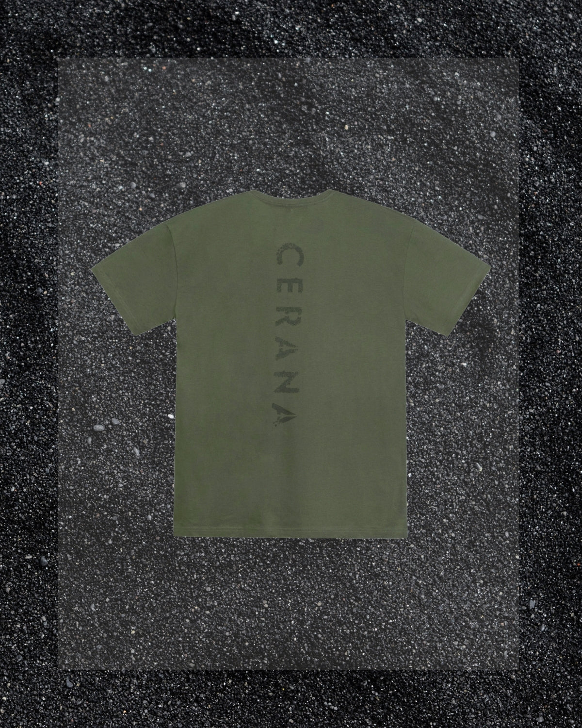 Regular Fit Spine Tee