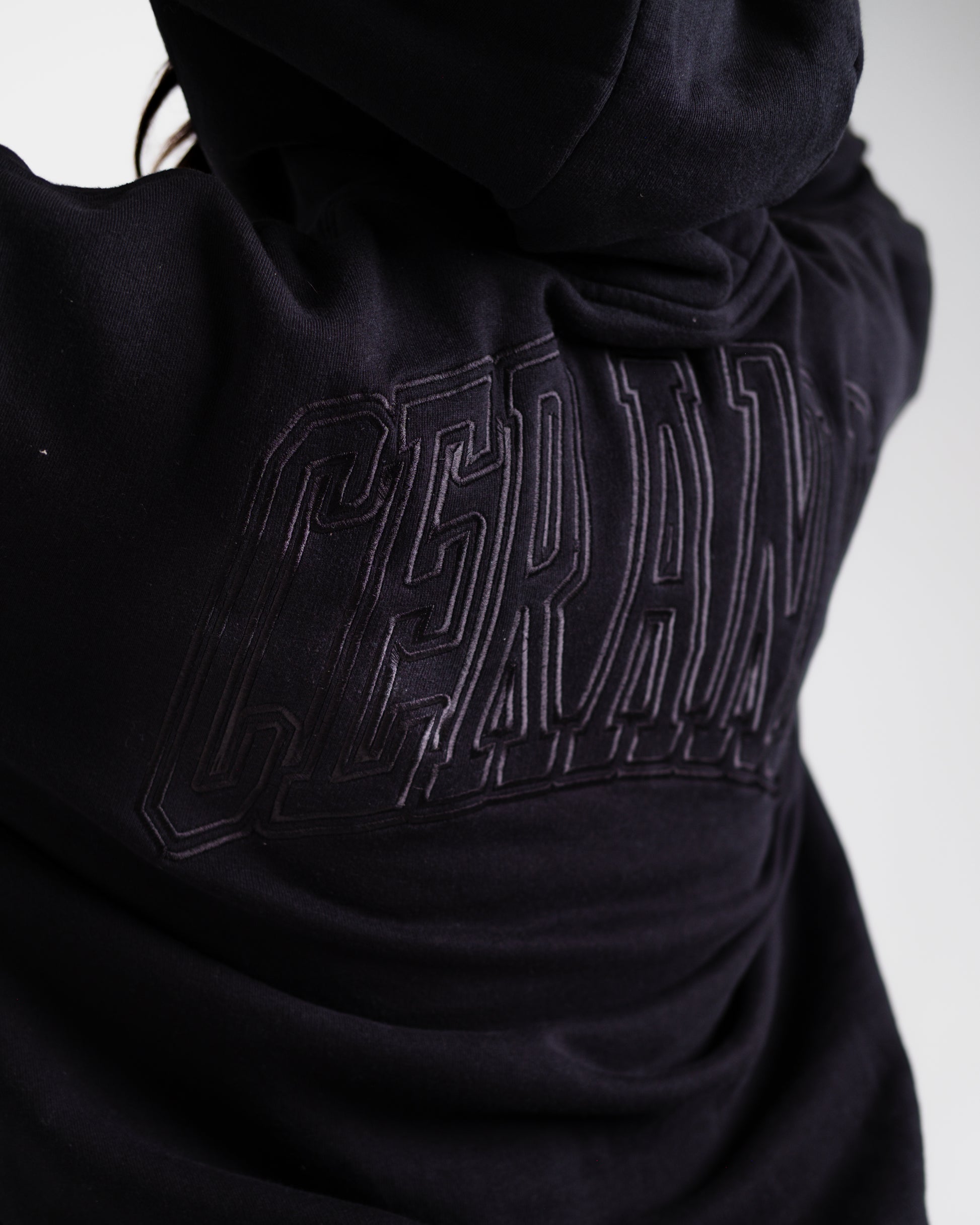 Unisex B-LVA Embroidery Hoodie