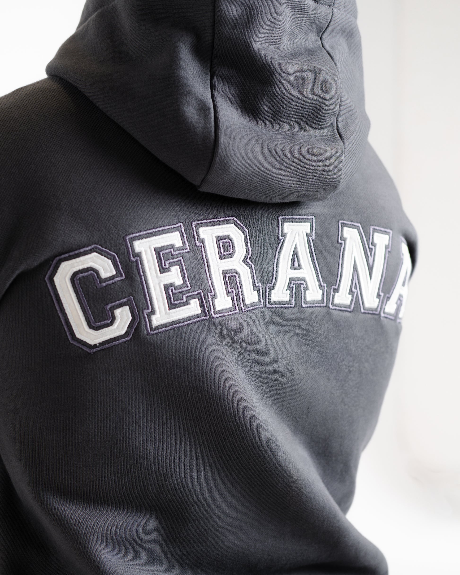 Unisex B-LVA Varsity Embroidery Hoodie