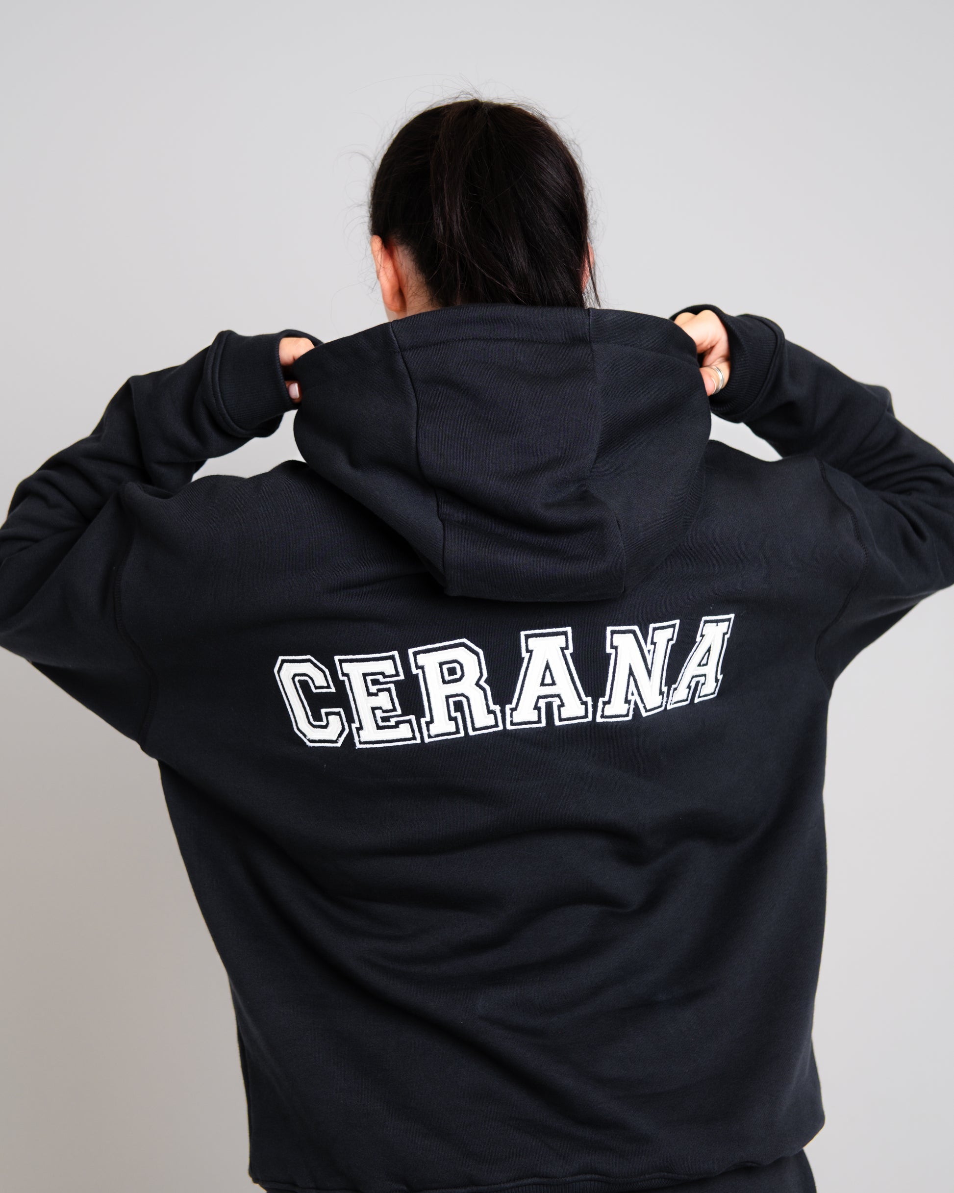 Unisex B-LVA Varsity Embroidery Hoodie