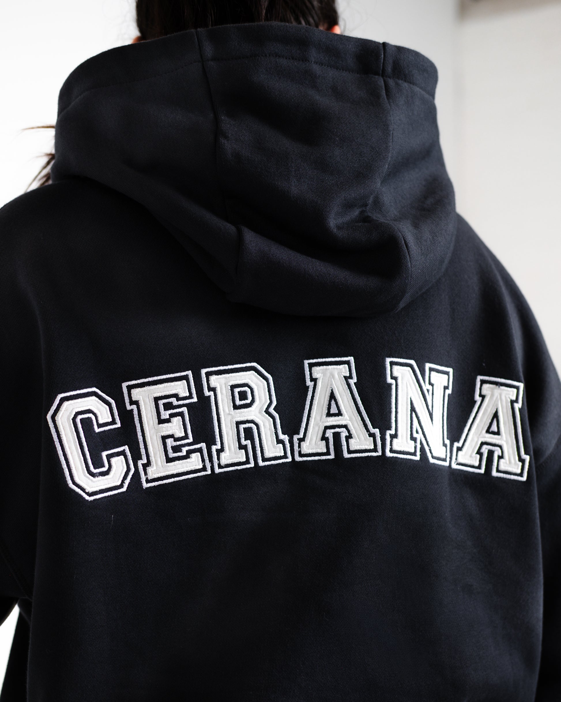 Unisex B-LVA Varsity Embroidery Hoodie