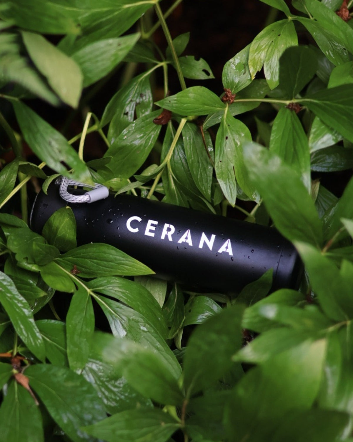 Travel Flask